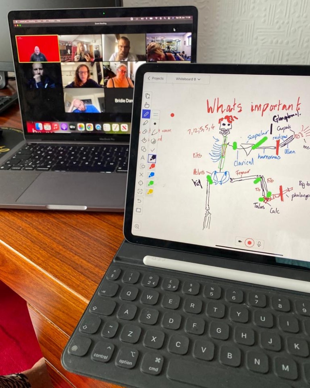 An online lesson in progress: a video call on a laptop beside an anatomy sketch on an iPad